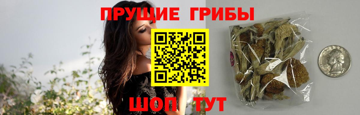 Семилуки  Псилоцибиновые грибы GOLDEN TEACHER  Псилоцибиновые грибы GOLDEN TEACHER  Вход с VPN 