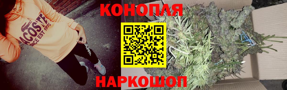МАРИХУАНА планчик Семилуки